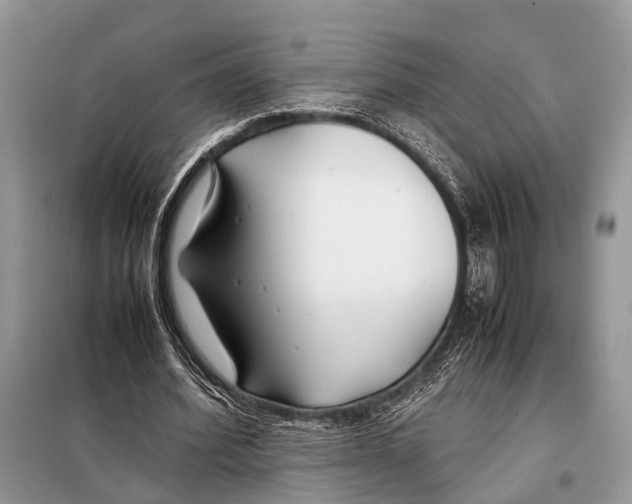 X0000098080580200805021024
