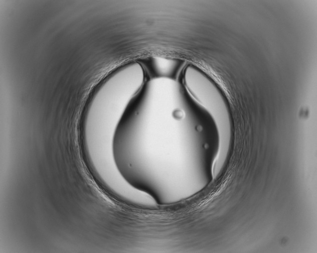 X0000098080581200805021024