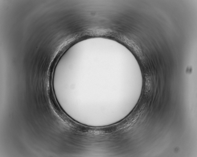 X0000098080582200805021024
