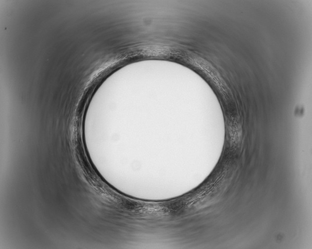 X0000098080583200805021024