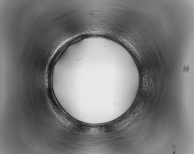 X0000098080584200805021024