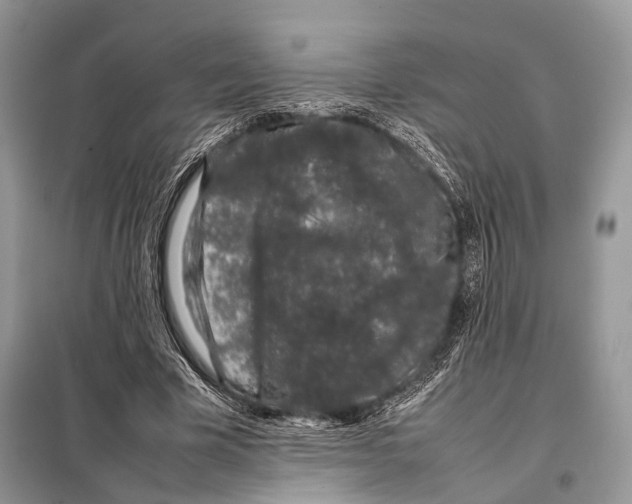 X0000098080585200805021024