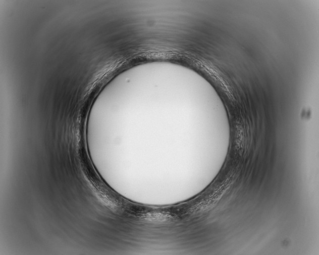 X0000098080586200805021024
