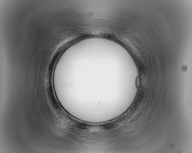X0000098080587200805021024