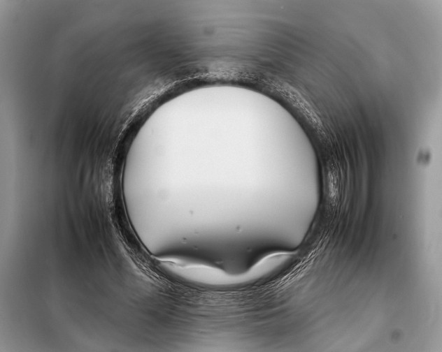 X0000098080588200805021024