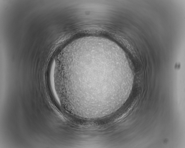 X0000098080589200805021024