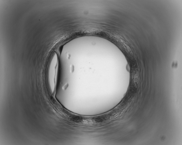 X0000098080591200805021024