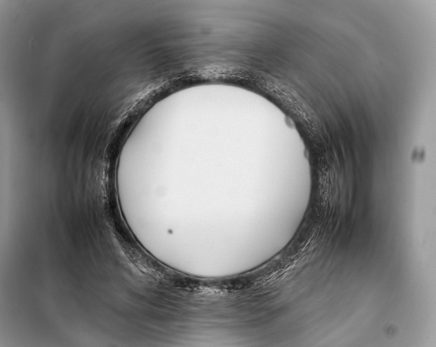 X0000098080592200805021024