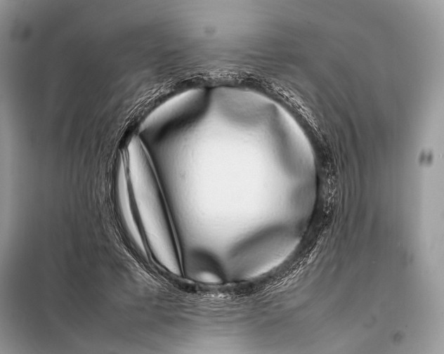 X0000098080593200805021024