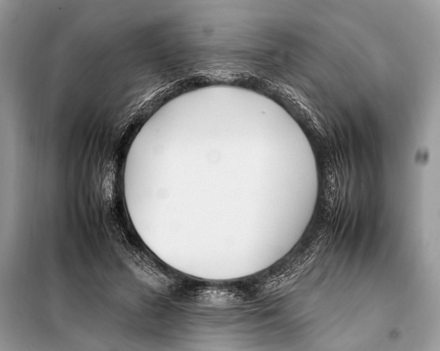 X0000098080596200805021024