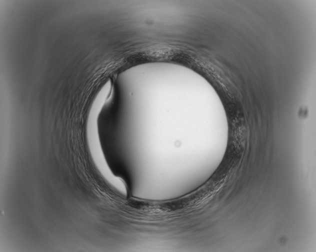 X0000098080597200805021024