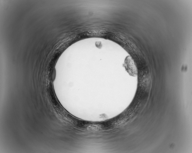 X0000098080599200805021023