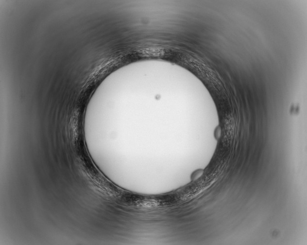 X0000098080600200805021023