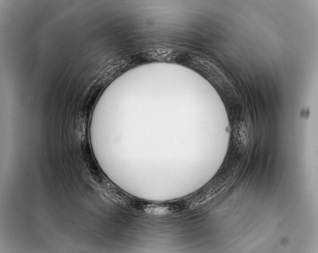 X0000098080602200805021023
