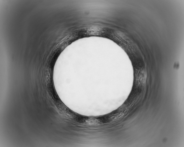 X0000098080603200805021023