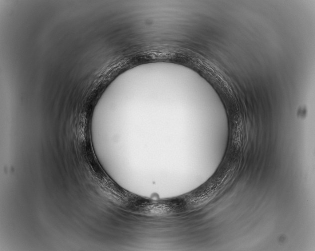 X0000098080604200805021023