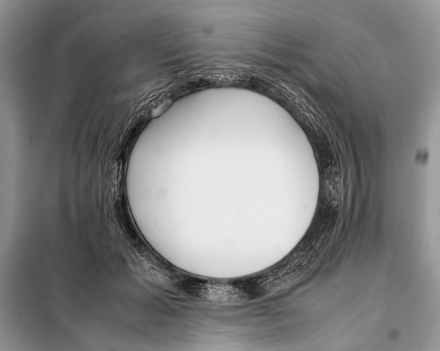 X0000098080605200805021023