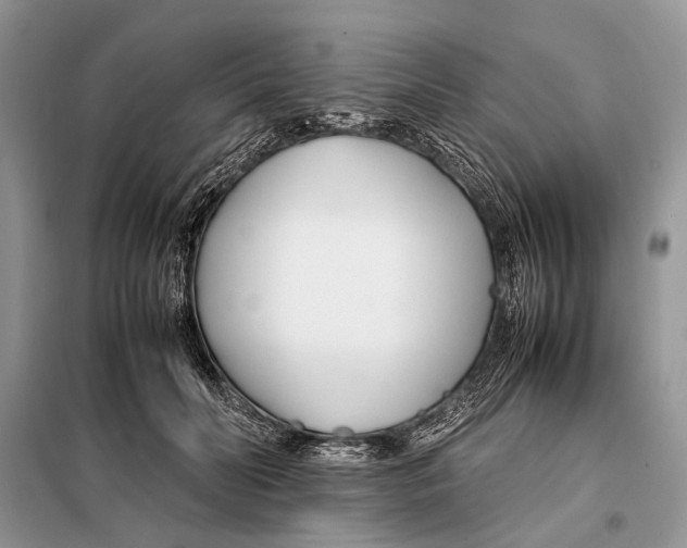 X0000098080606200805021023