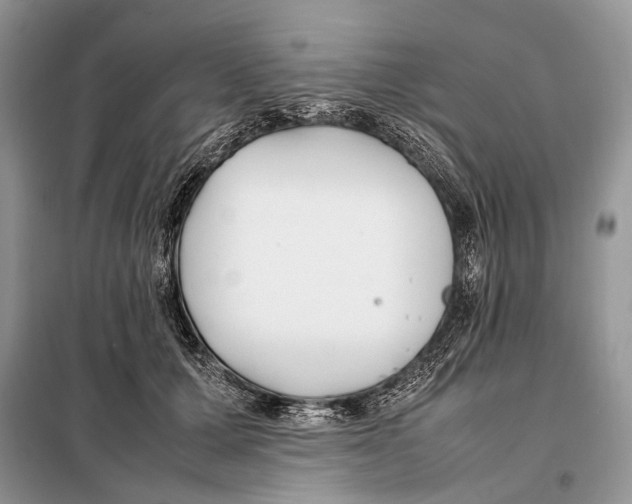 X0000098080607200805021023