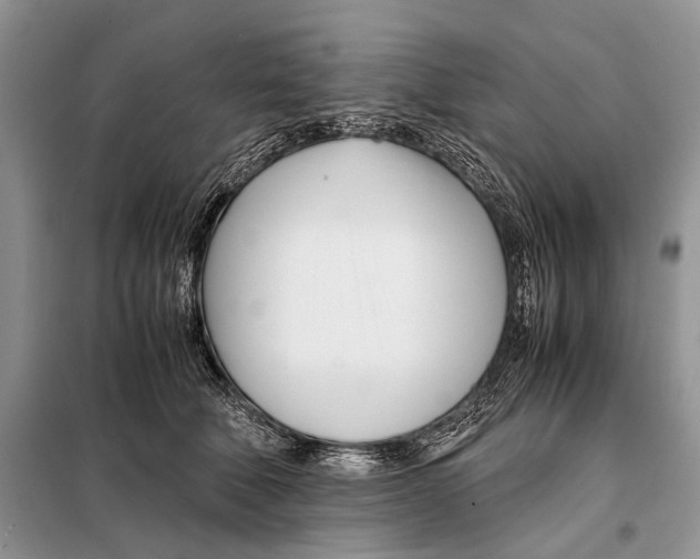 X0000098080610200805021023