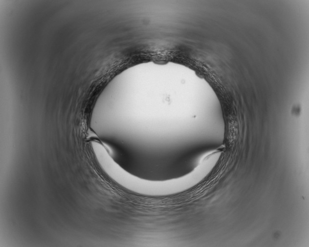 X0000098080613200805021023