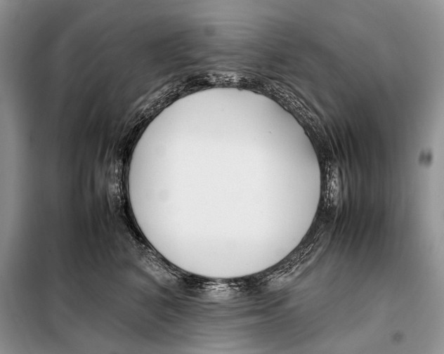 X0000098080616200805021023