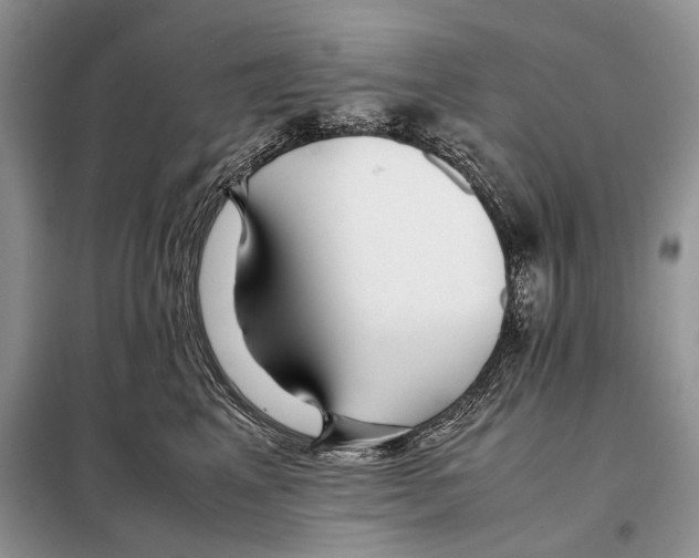 X0000098080617200805021023