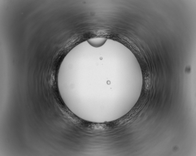 X0000098080618200805021023