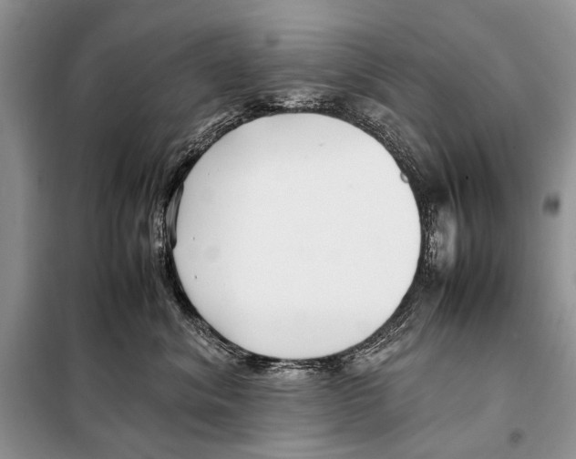 X0000098080620200805021023