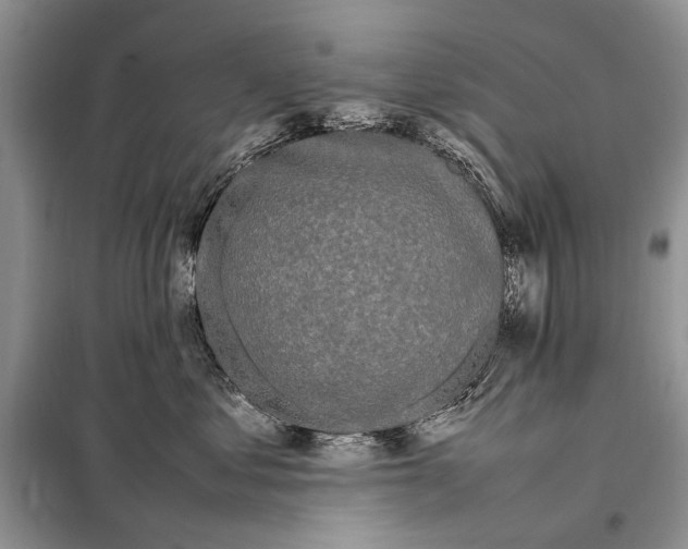 X0000098080621200805021023