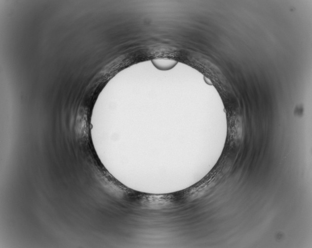X0000098080622200805021023