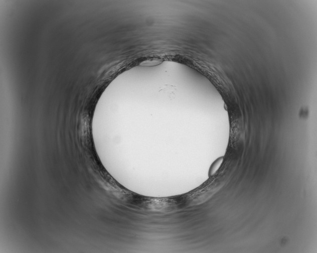 X0000098080623200805021023