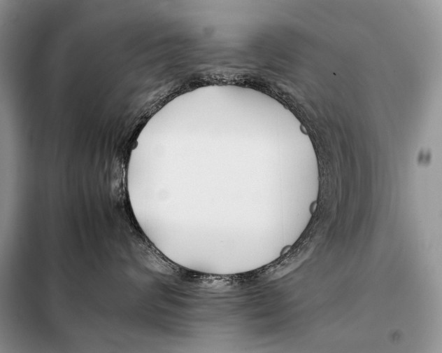 X0000098080624200805021023