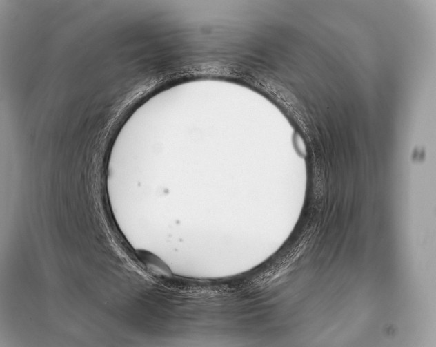 X0000098080625200805021022