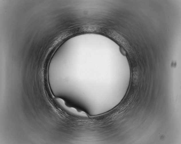 X0000098080626200805021022