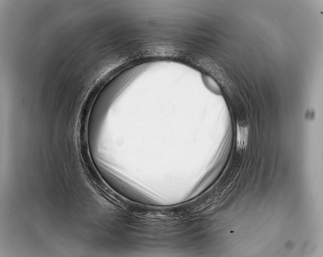 X0000098080627200805021022