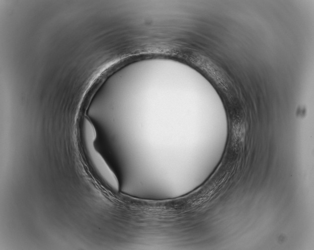 X0000098080628200805021022