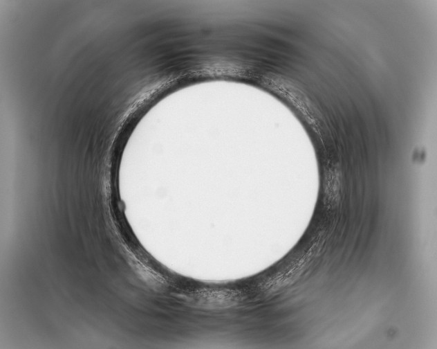 X0000098080629200805021022