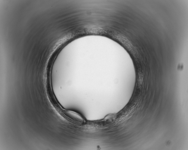 X0000098080630200805021022