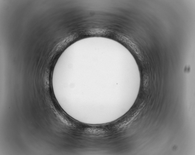 X0000098080633200805021022