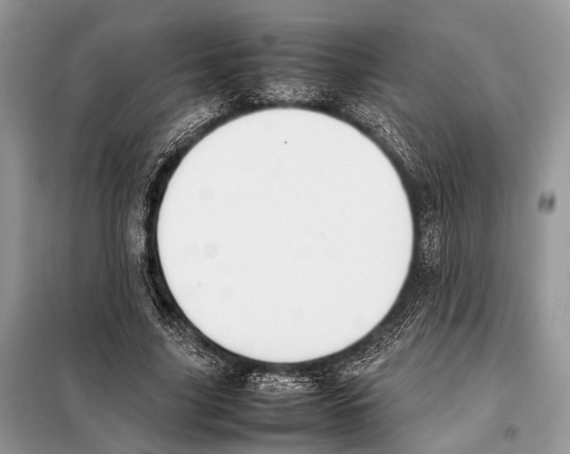 X0000098080635200805021022
