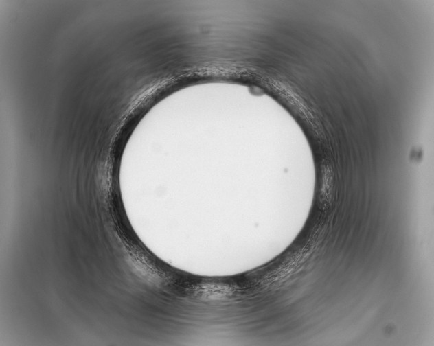 X0000098080636200805021022