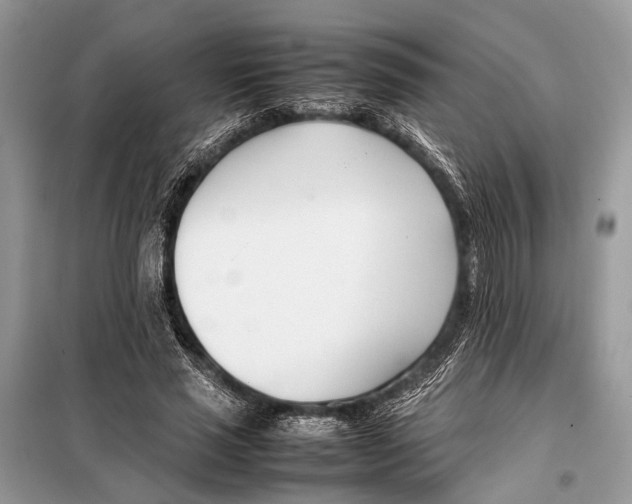 X0000098080637200805021022