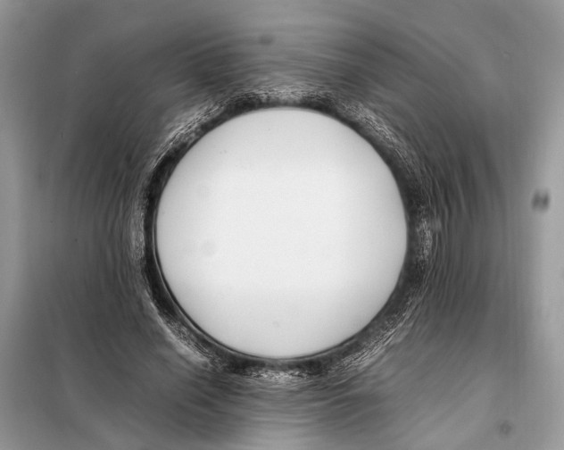 X0000098080638200805021022