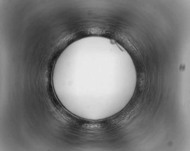 X0000098080639200805021022
