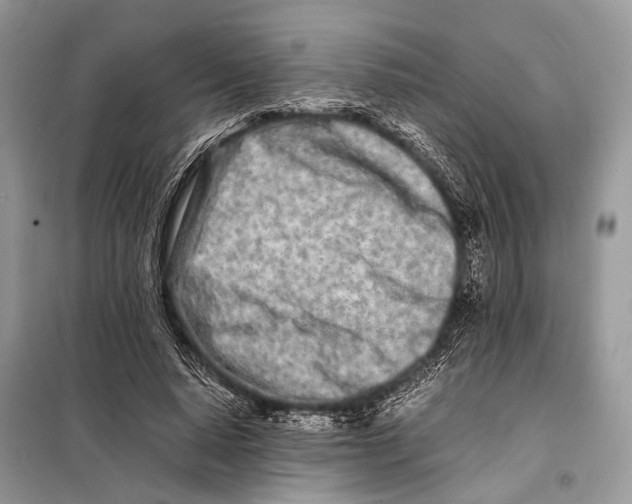 X0000098080640200805021023