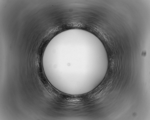 X0000098080643200805021023