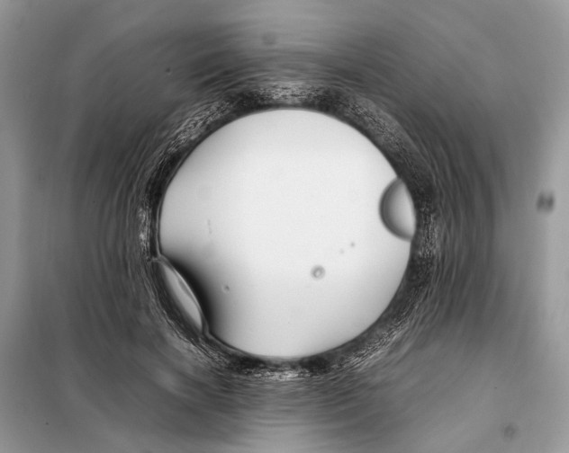 X0000098080646200805021023