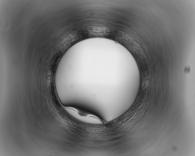 X0000098080647200805021023