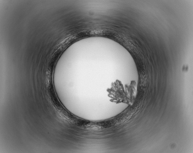 X0000098080648200805021023